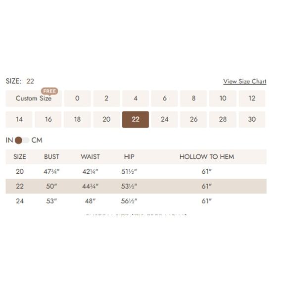 FORMAL AW 22 3X Plus Kimberly Champagne Bridesmaid Wedding Maxi Dress New b72 - Picture 5 of 5